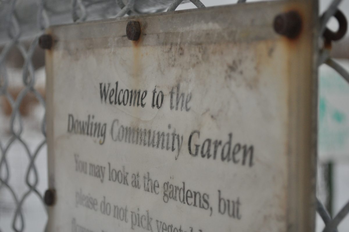 Dowling Community Garden