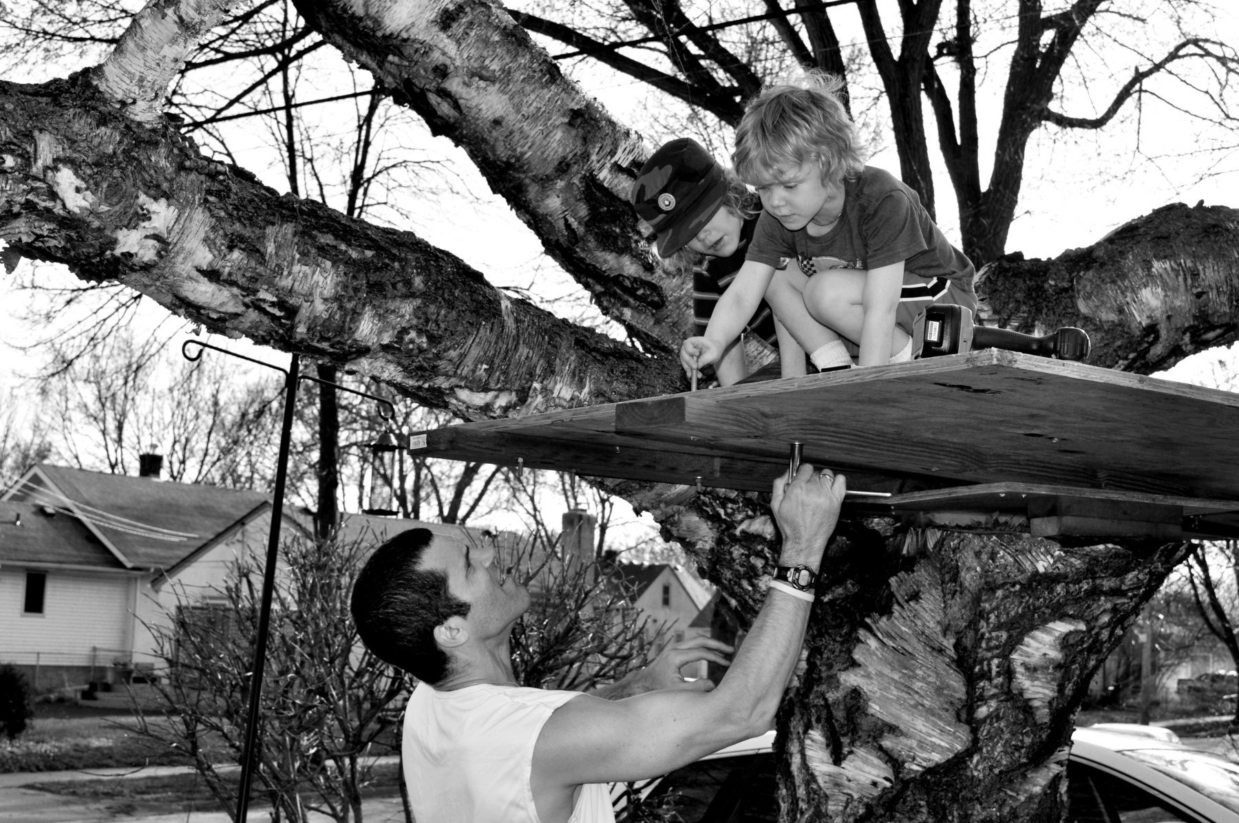 The Boardman's Working on a Tree House