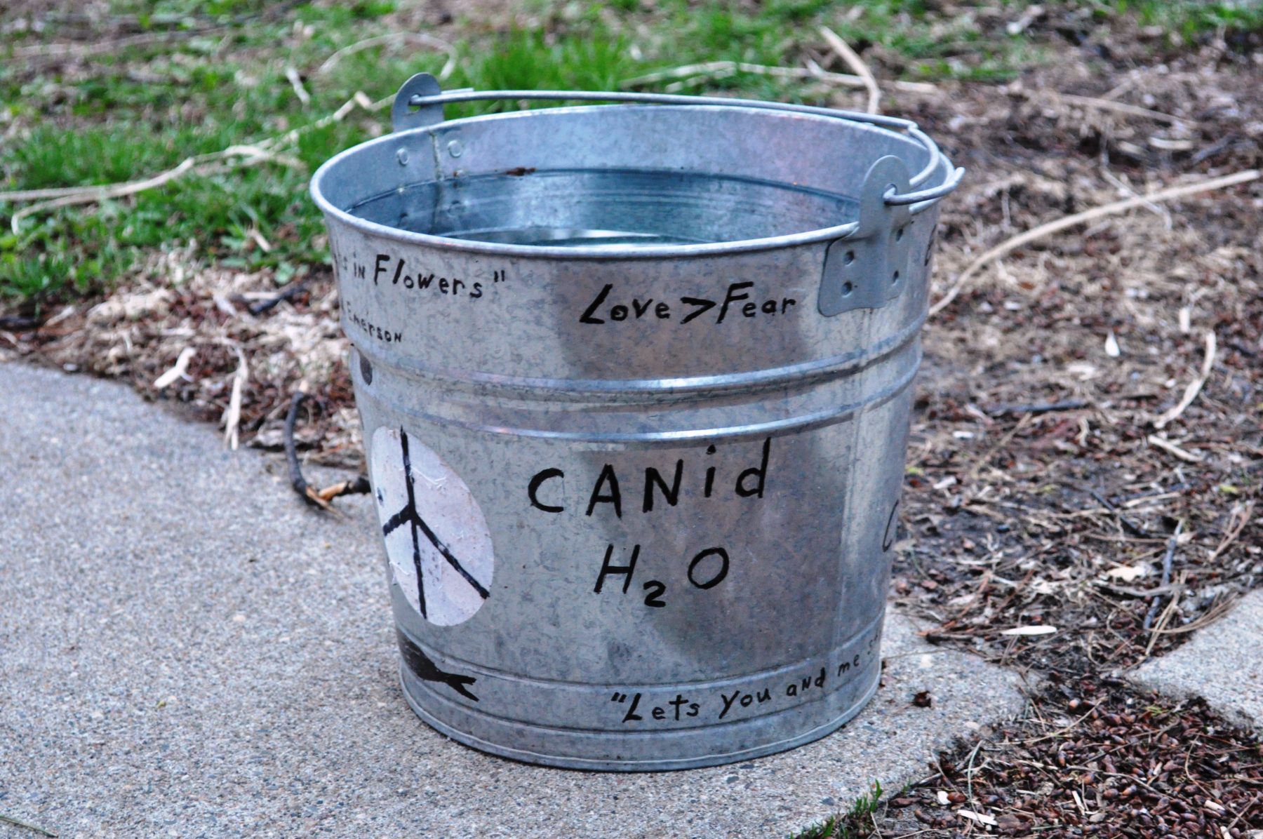 Canid H20