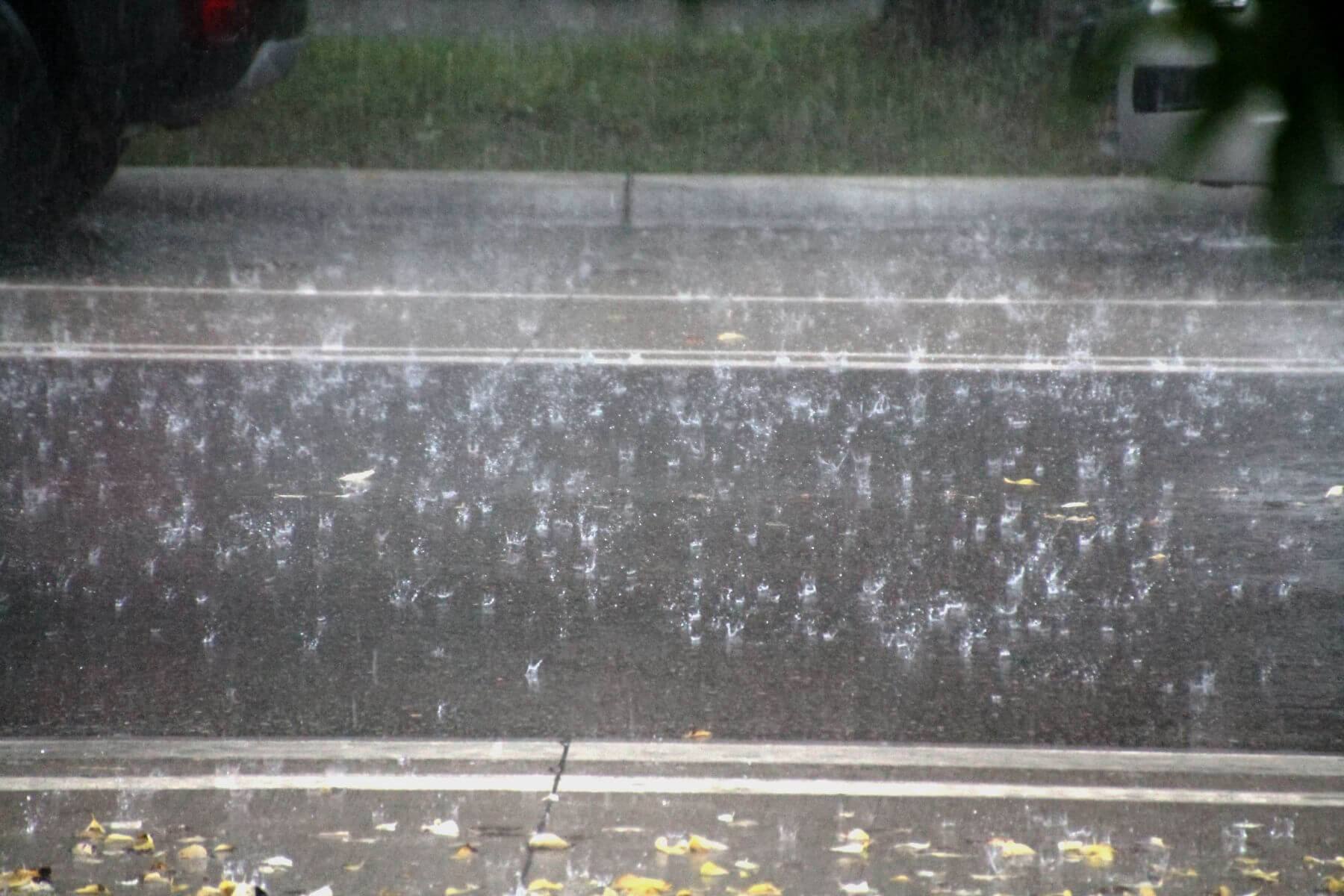 raindrops bouncing on the street