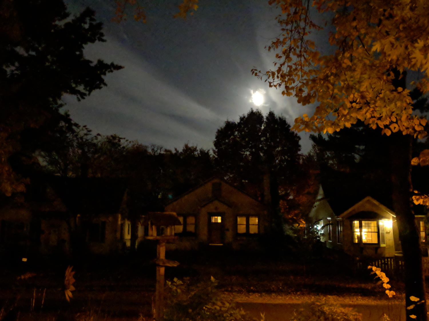 Full moon rising over dark trees and bungalow houses