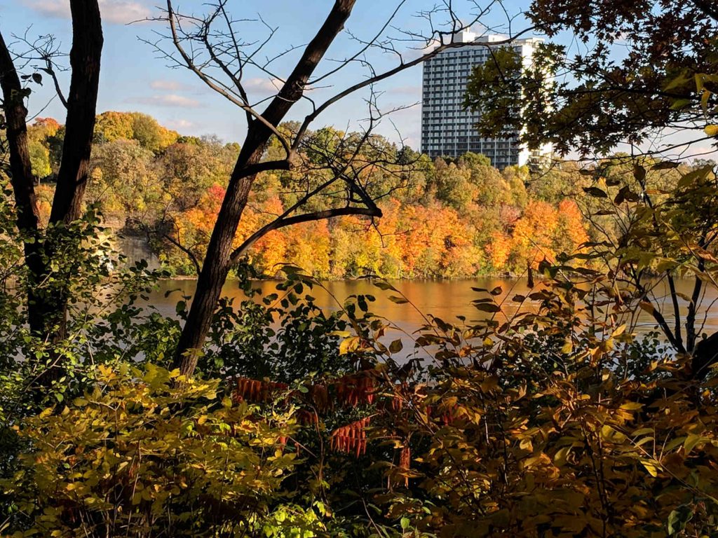 Autumn colors along Mississippi River