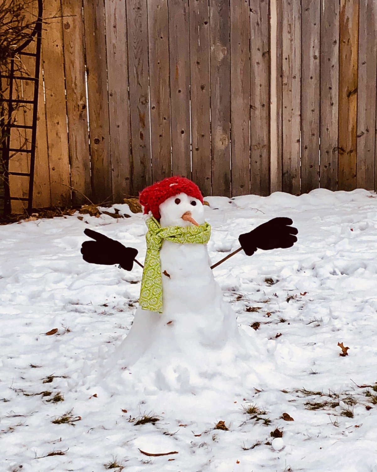 snowman with hat, scarf, and gloves