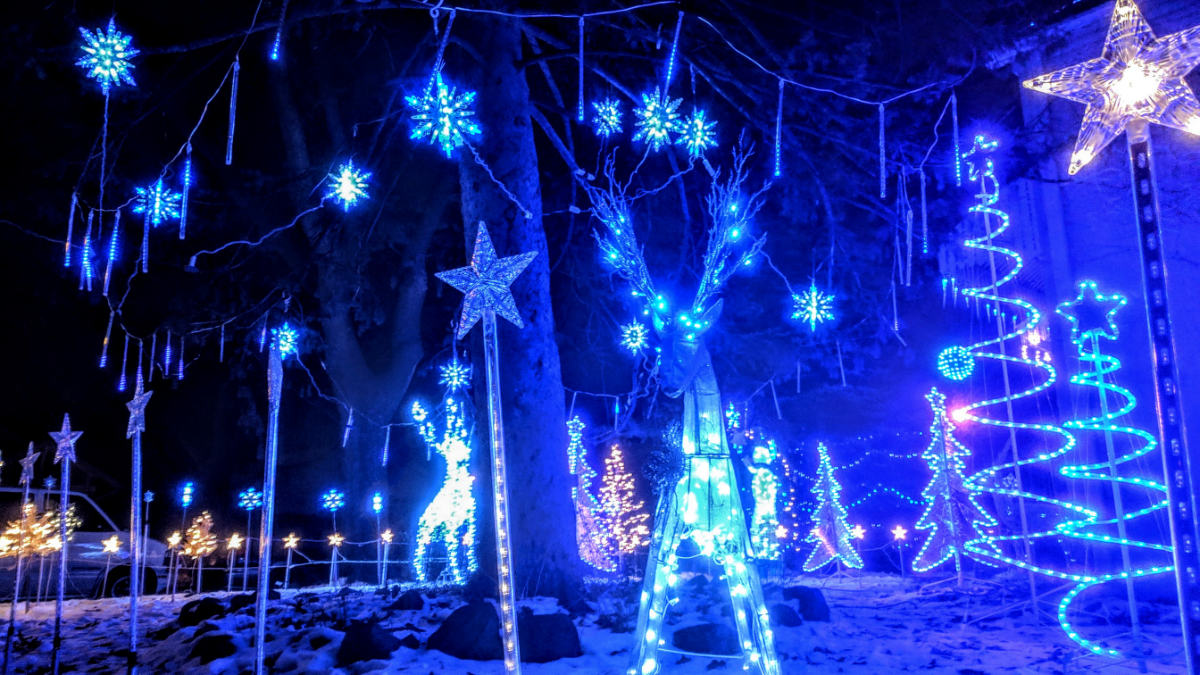 nighttime holiday display of blue lights, stars, and reindeer figures in a yard