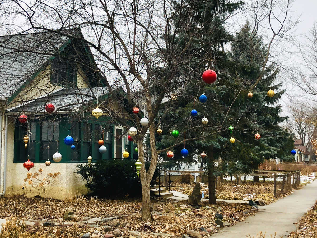 Many colored christmas ball decorations hanging from bare branches of a tree in front of a bungalow house