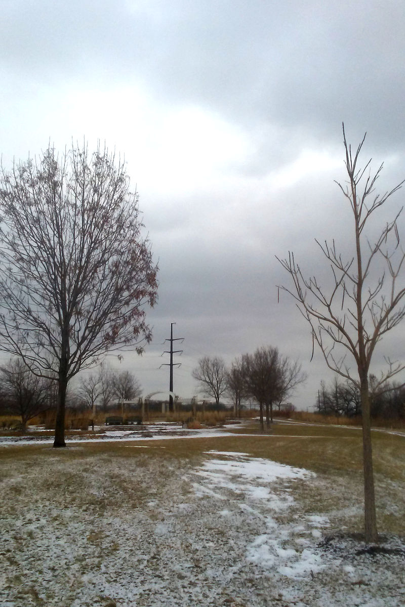 bare trees, brown field, gray skies