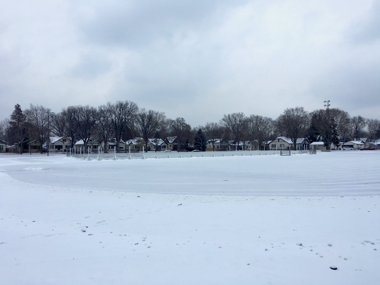 gray expanse of snow and ice rink with horizon line of bare trees and houses