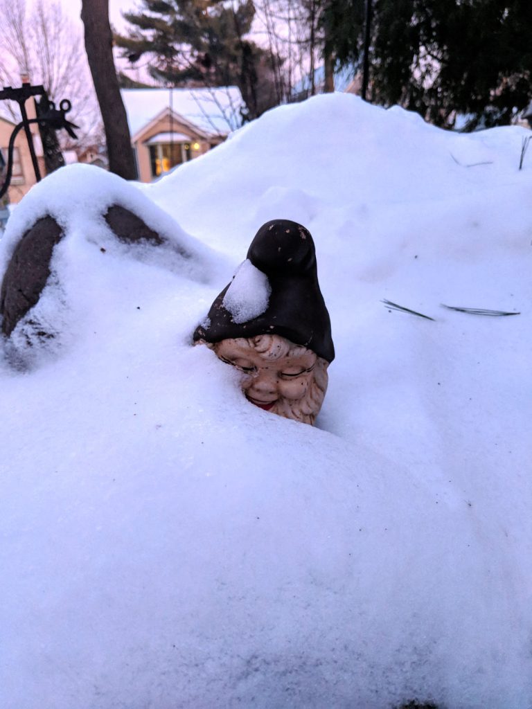 Head of garden gnome poking out of a snowbank