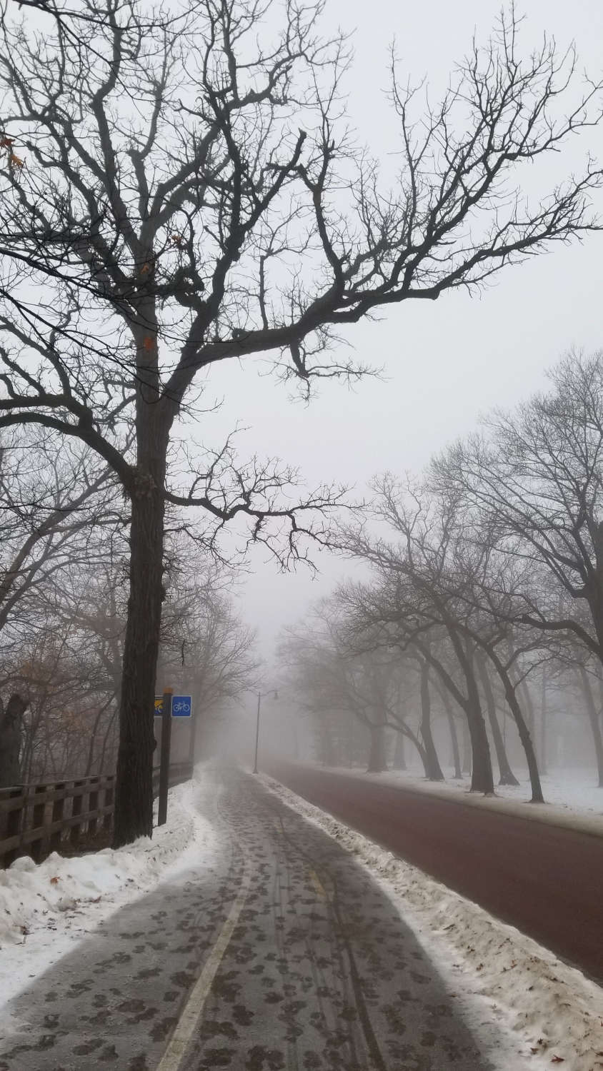 Slushy bike path next to road lined with bare trees on a gray foggy day