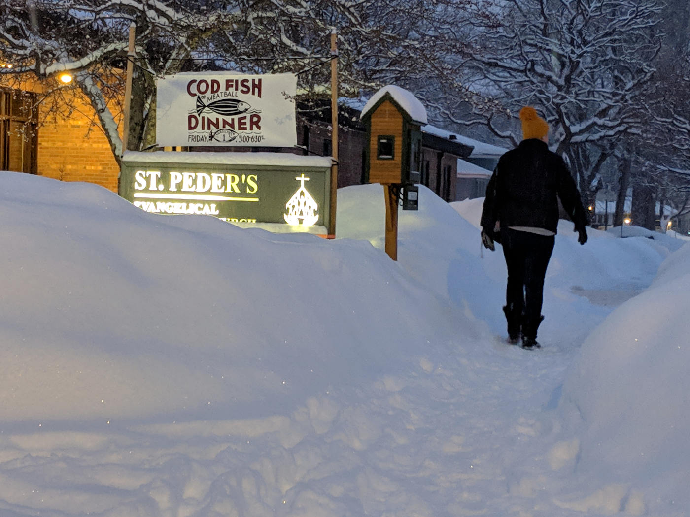 Person walking in snow by sign for Cod Fish Dinner over sign for ST. PEDER'S EVANGELICAL, with bottom of sign covered by snow mound.
