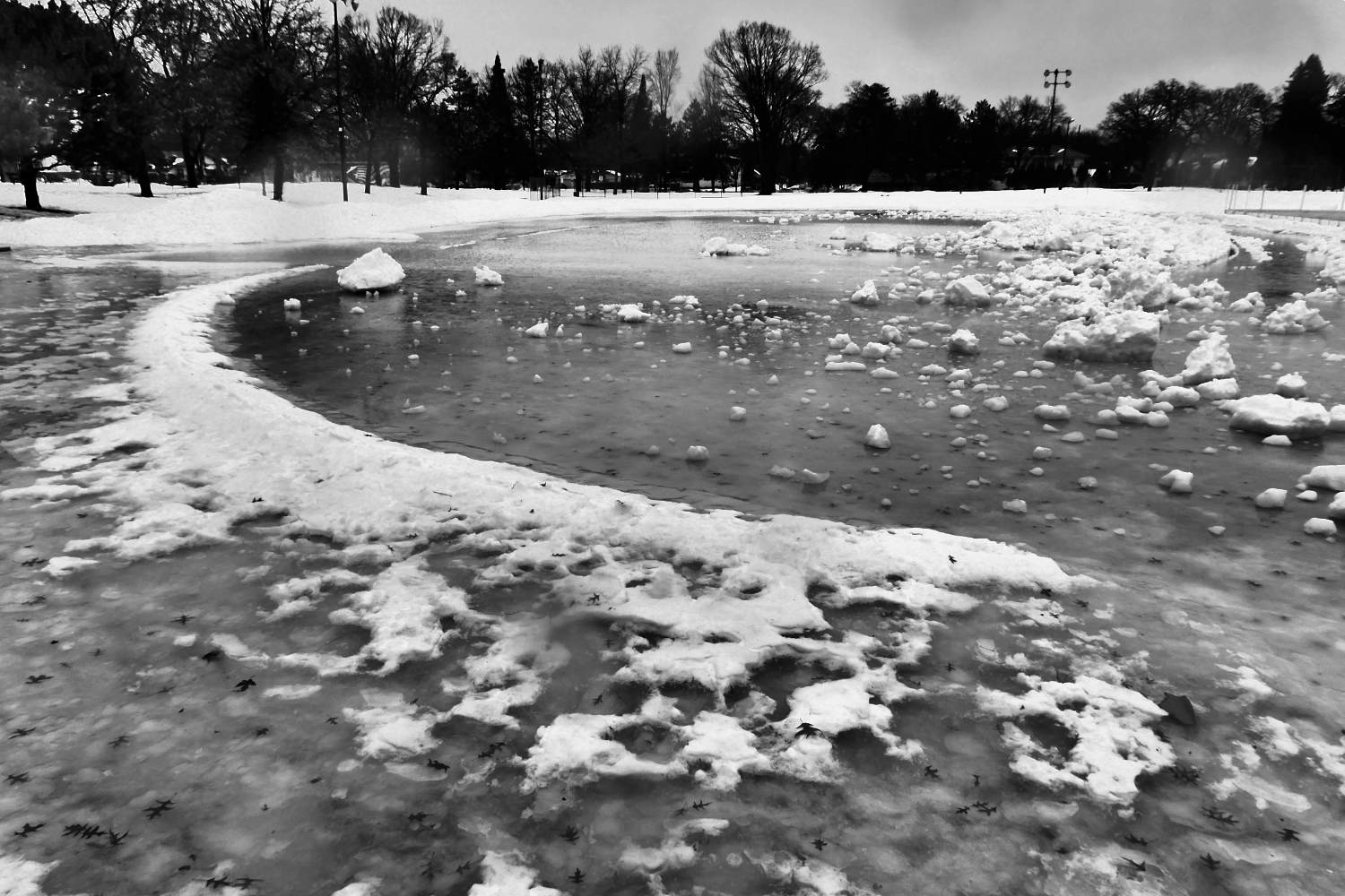 black and white image of melting ice pond in a park