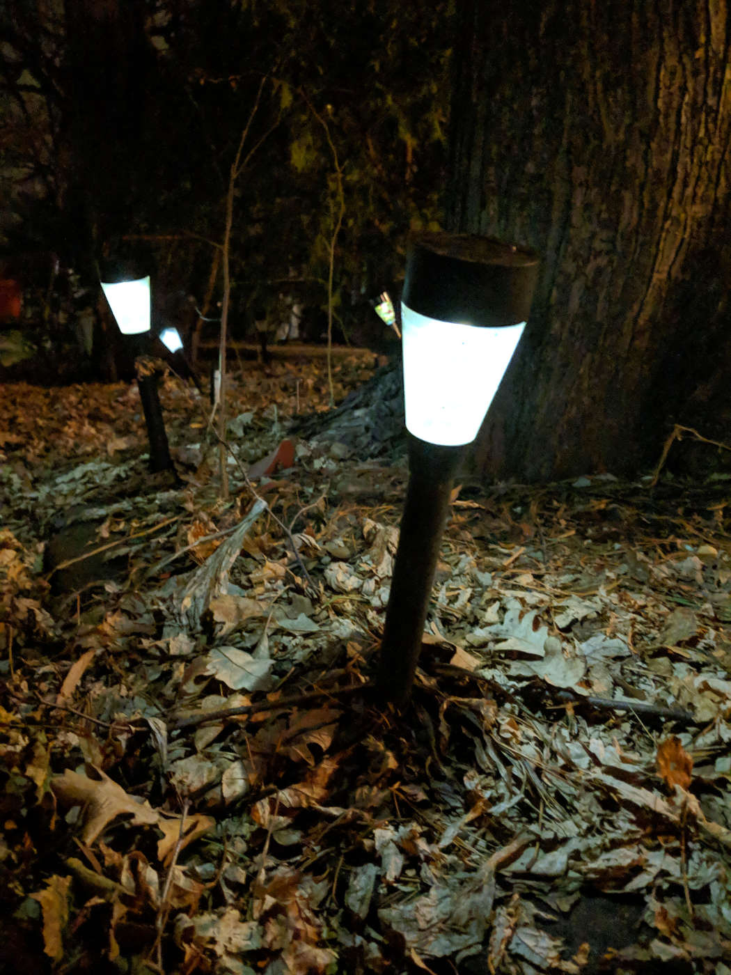 two small yard lights glowing in the dark over matted yard