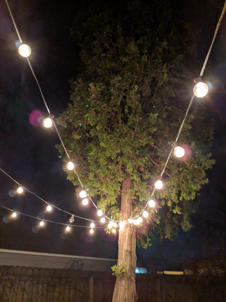 Strings of round white lights hang from a tree at night