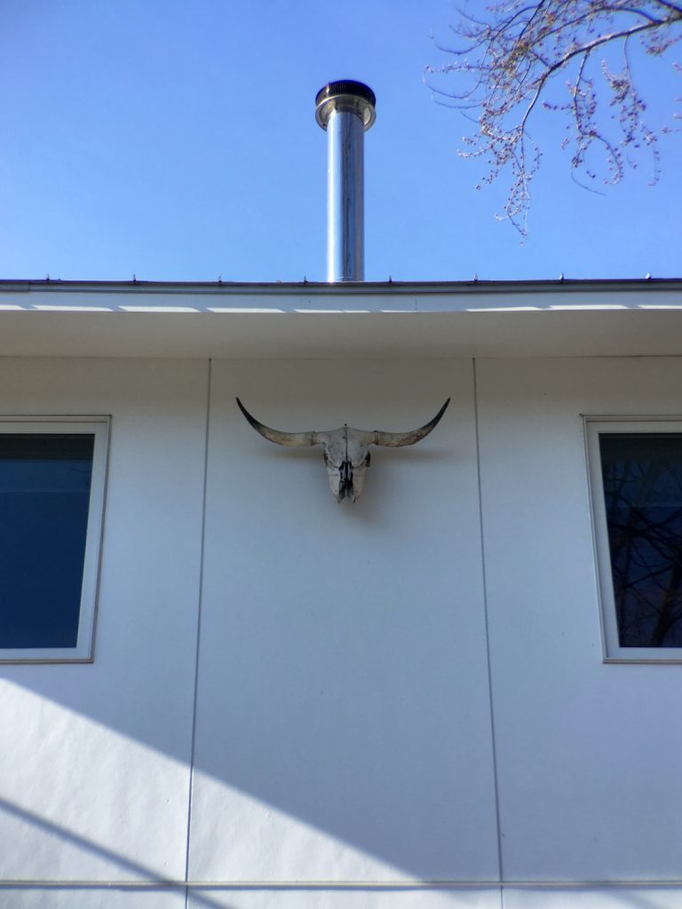 White building wall holding a horned cow skull between two dark blue windows with a small metal smokestack on the roofline under a blue sky