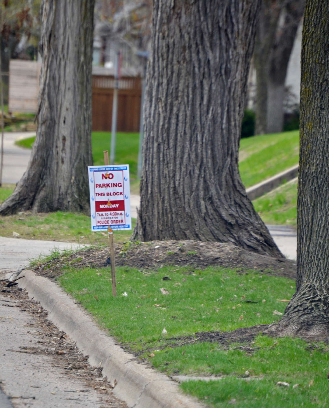 Grassy boulevard next to street with a red on white staked sign reading NO PARKING , THIS BLOCK, MONDAY