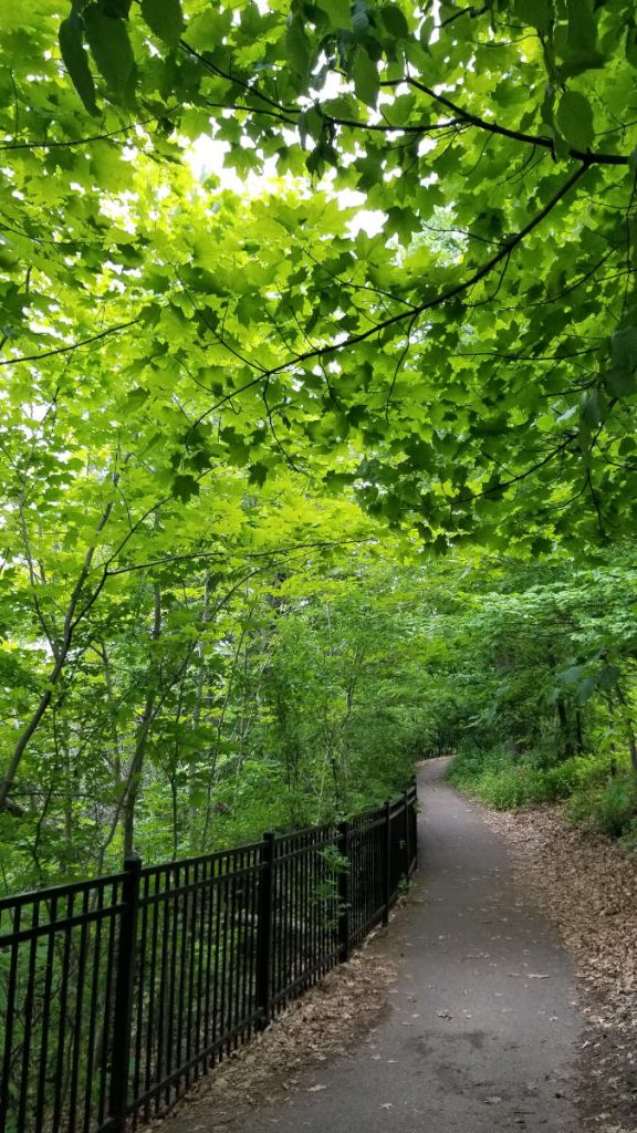 winding asphalt hiking trail with black railing and lots of greenery