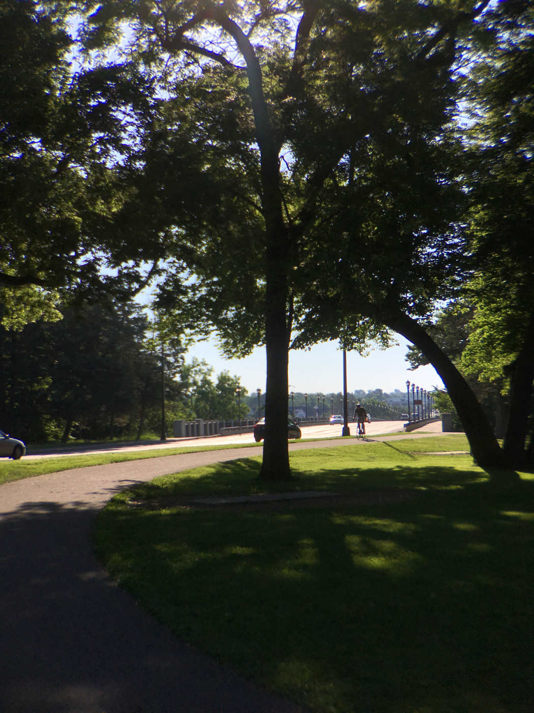 from beneath shade of trees, in the distance is a bicyclist and cars approaching on a roadway