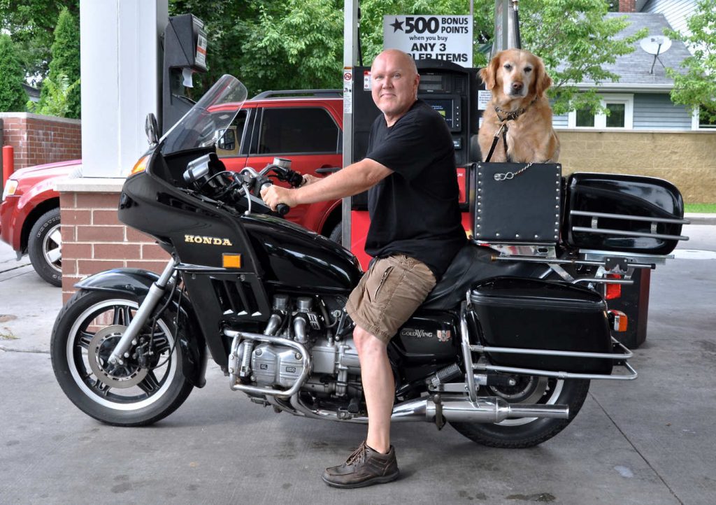 Bald man on a black motorcycle with a golden retriever dog sitting in a crate on the back seat