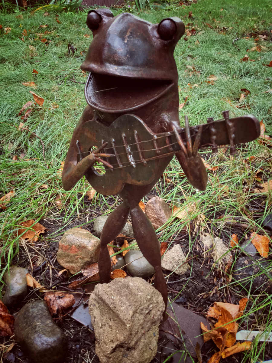 Brass figurine of frog caricature singing with a guitar atop rocks next to lawn.