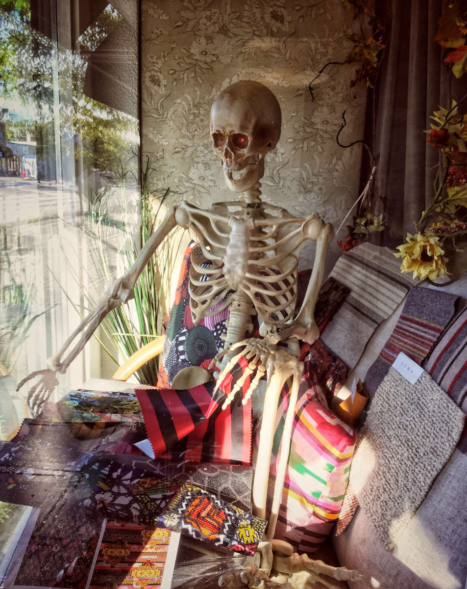 window display of human skeleton amidst an array of fabric samples