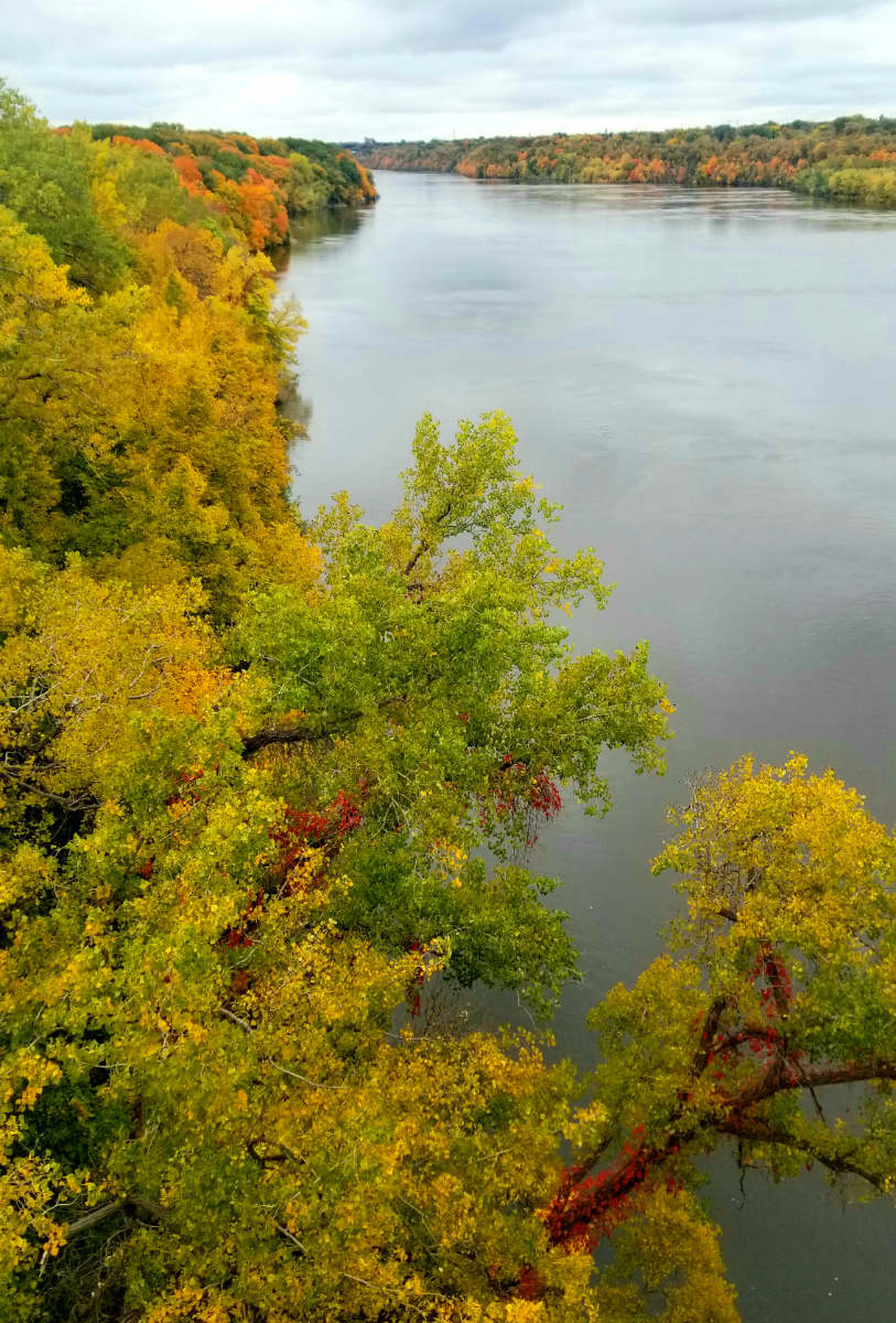 Looking up river on a cloudy day with trees colored from green to yellow to orange along the banks