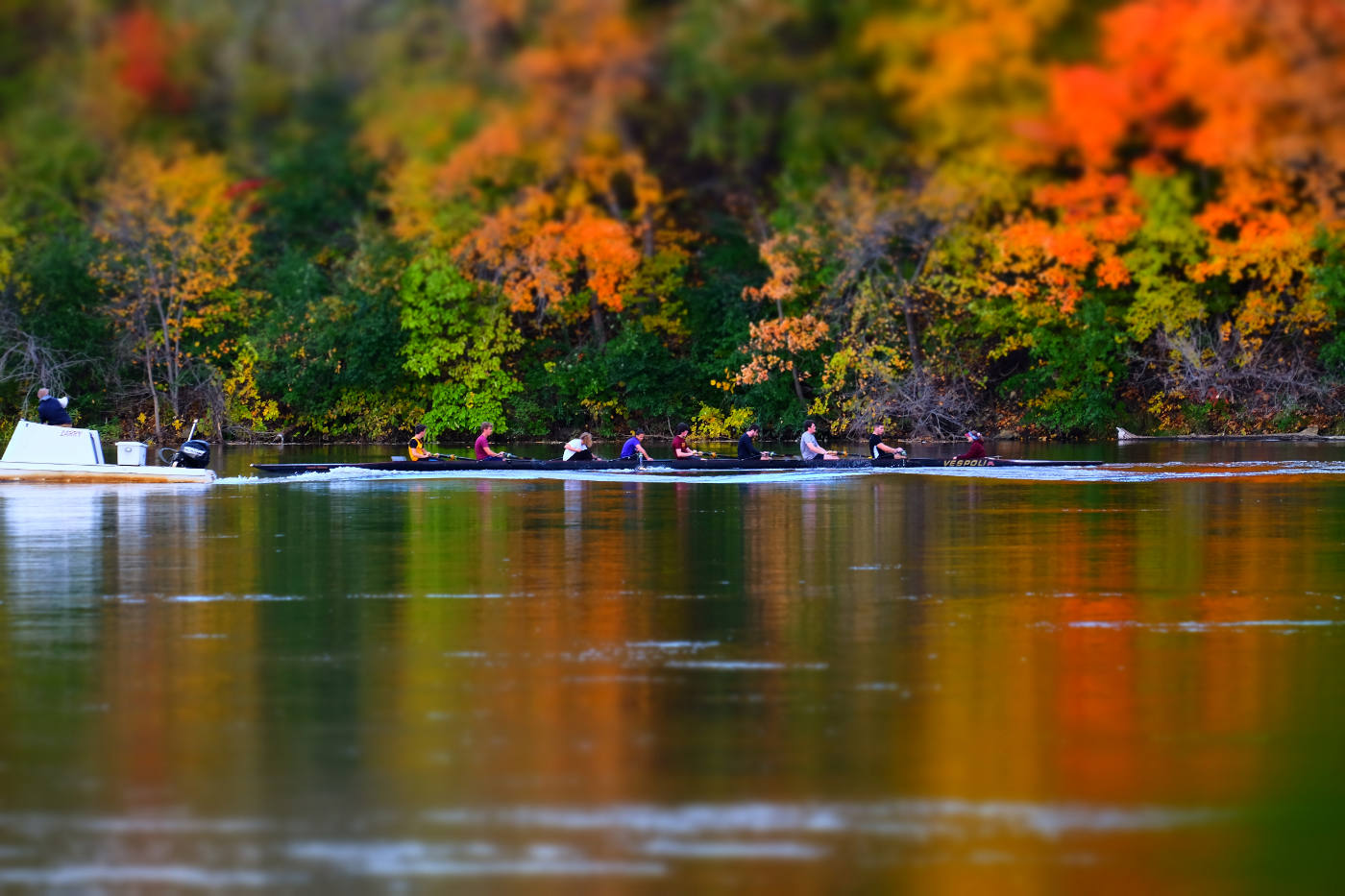 Crew rowing in a long low boat on the river with fall color trees on banks in background