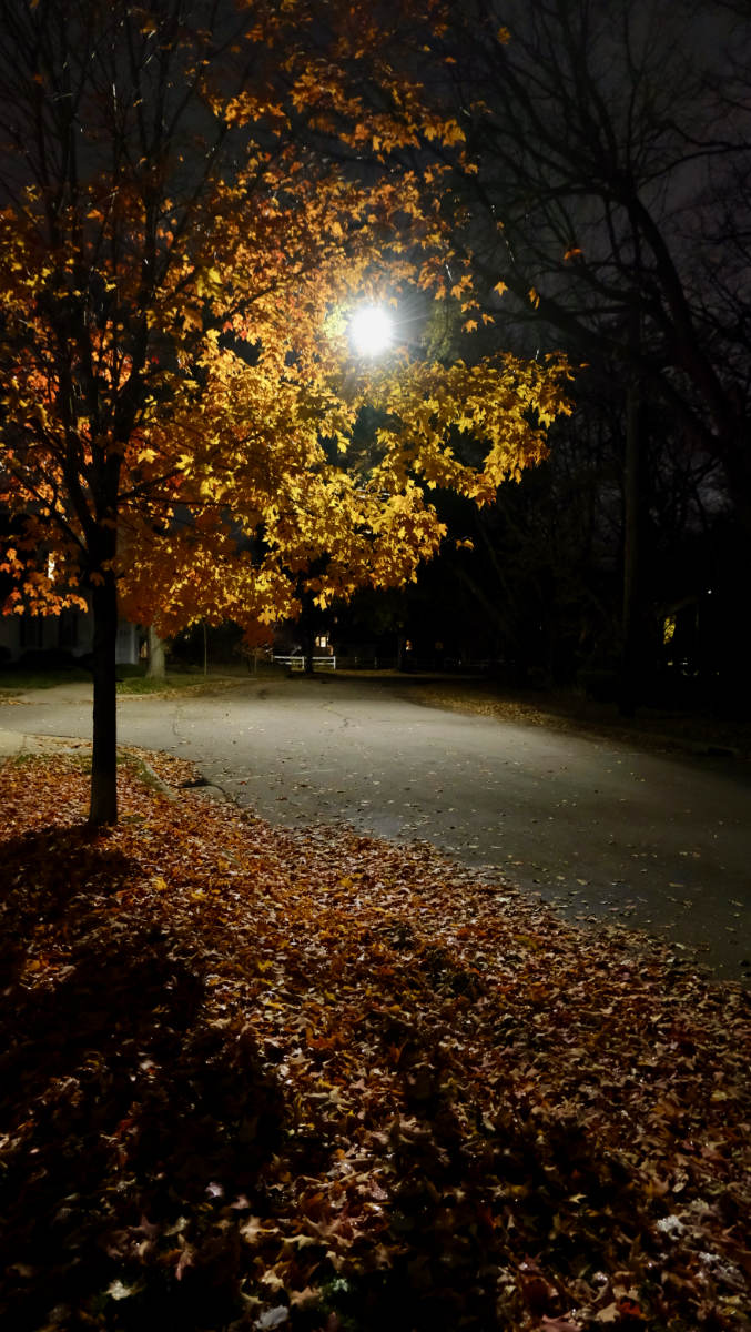 night scene with streetlamp light shining through a tree of yellowed leaves
