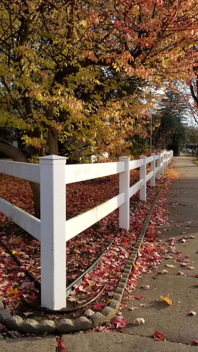 Corner of receding white post and rail fence with autumn trees and leaves