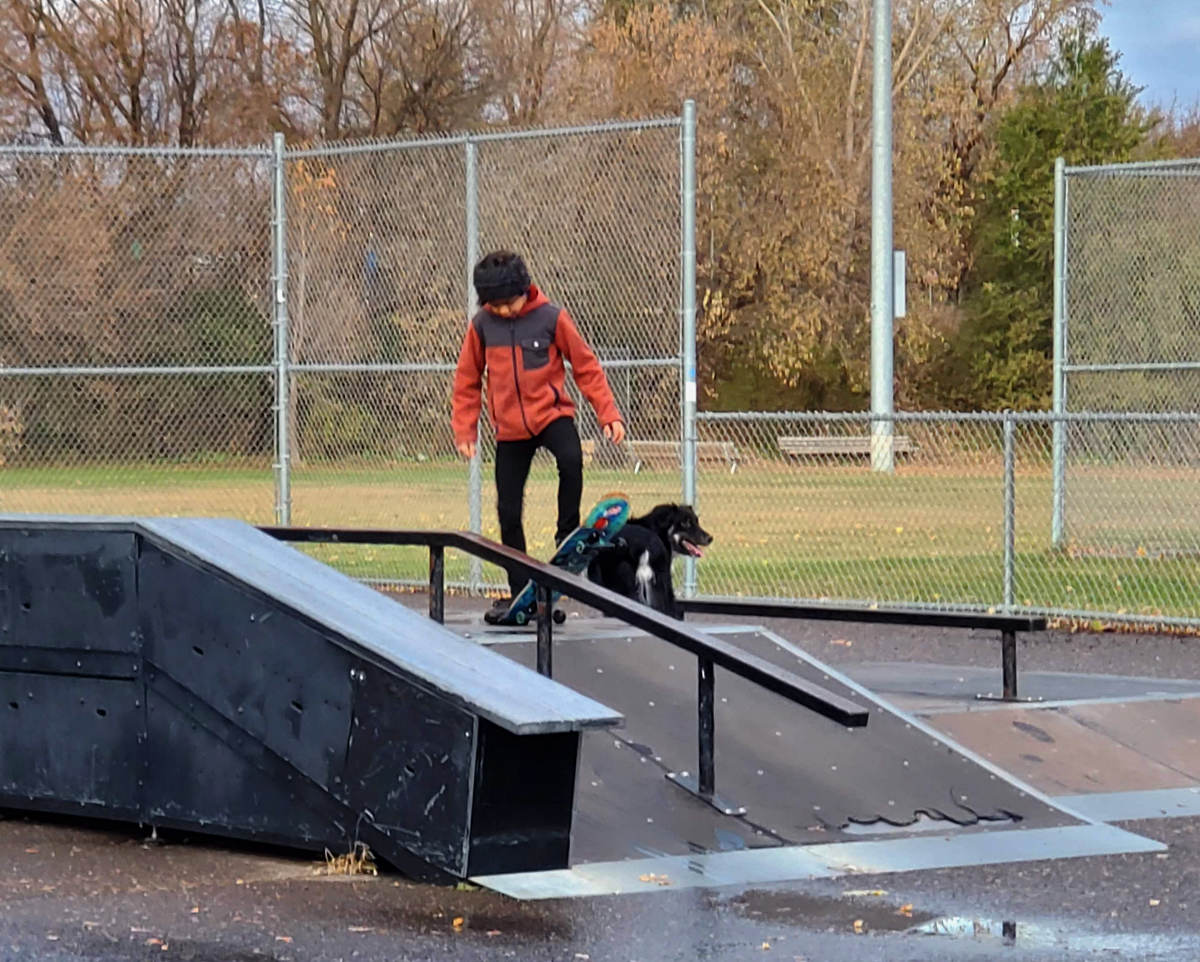 Young person on a skateboard in a skate park with a black dog