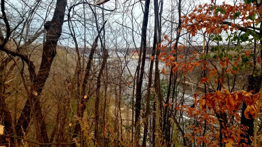 Looking through bare tree branches to a river scene with dam in distance