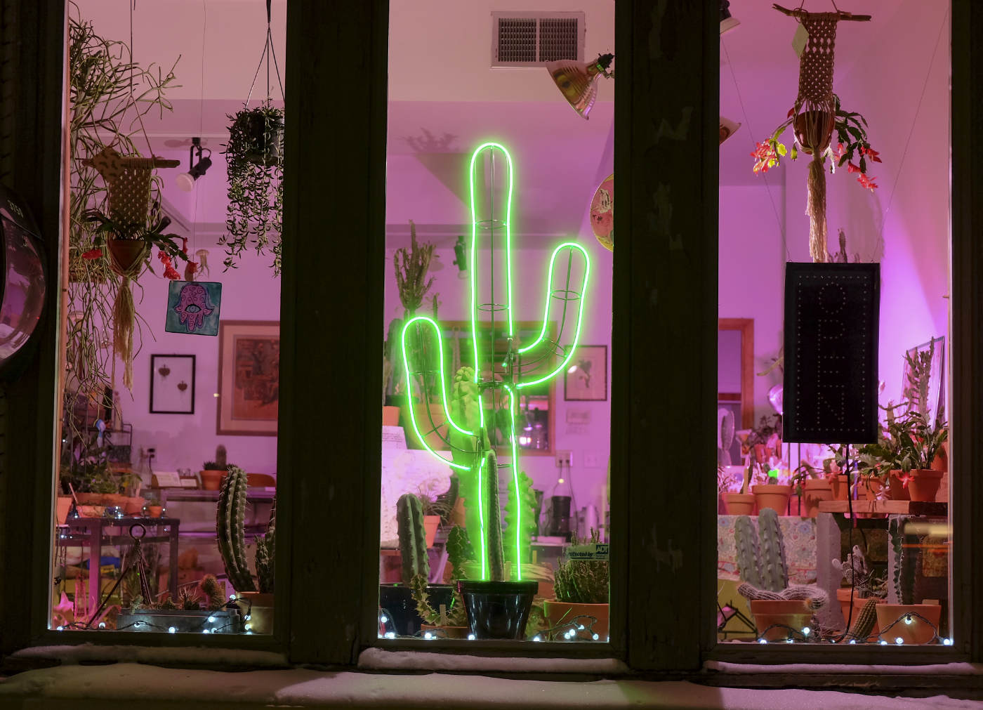 Green neon outline of a cactus plant in a window scene with pinkish-purple grow lights and many plants in background