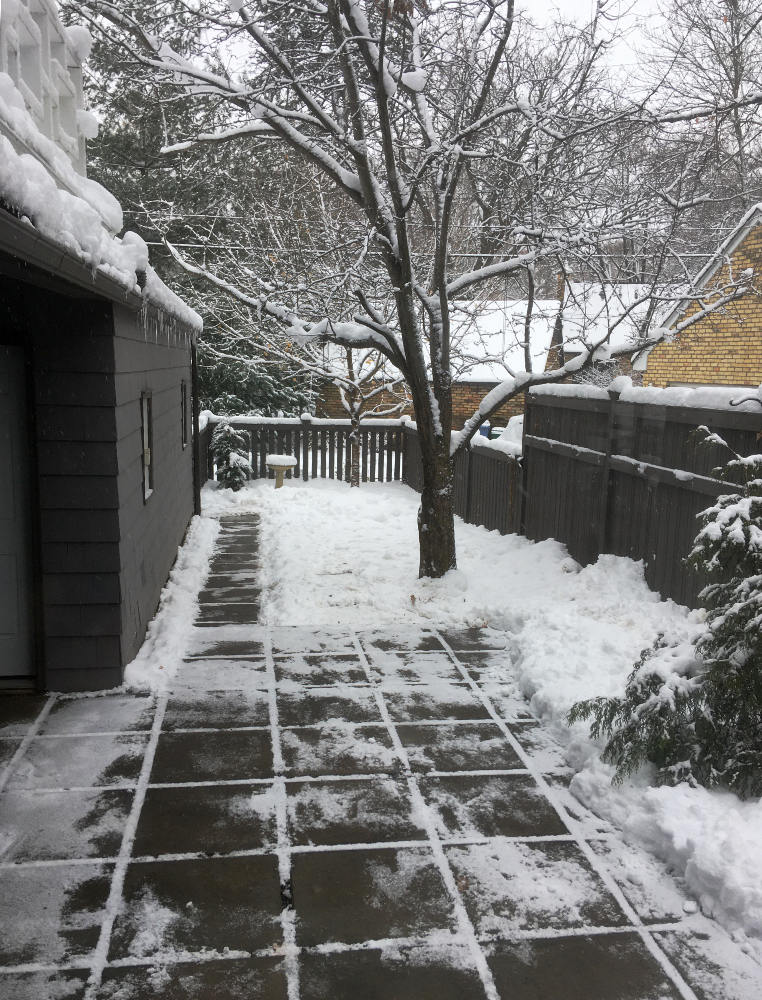 black and white snowy backyard patio with bare tree, wooden fence, and tan brick wall in background