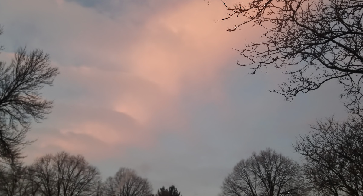 pink clouds in a gray-blue sky with some bare trees on edges