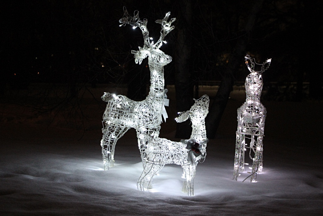 three deer-shaped light sculptures in the dark