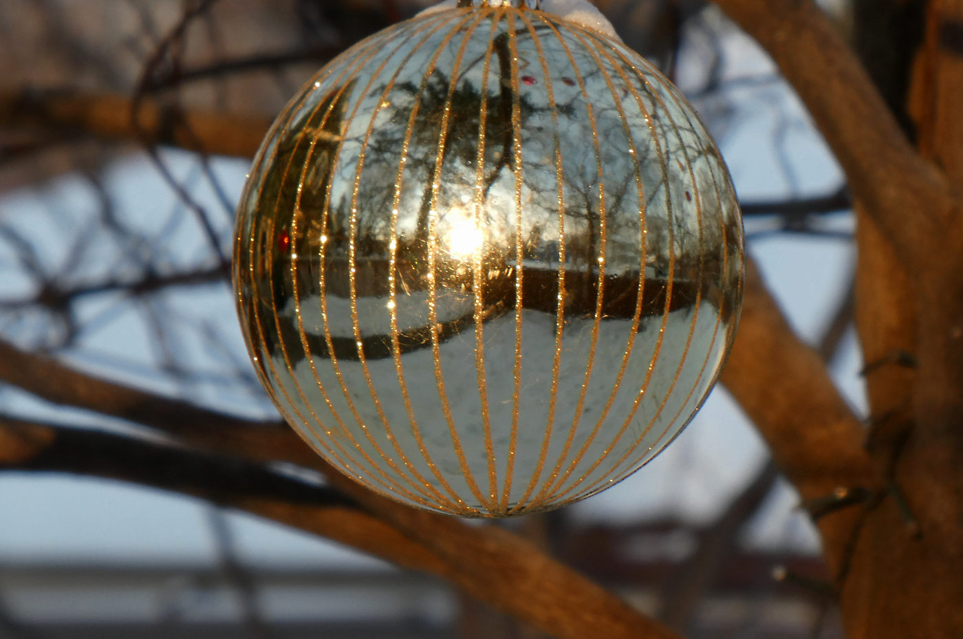 Silver ball with sparkly gold stripes reflecting a sunset with yellow-orange glowing tree branches in background