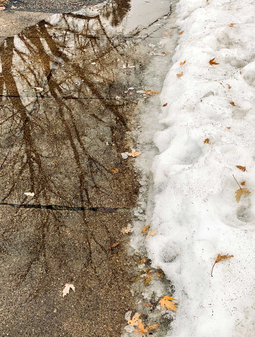 water puddle on snowy sidewalk reflecting tree limbs