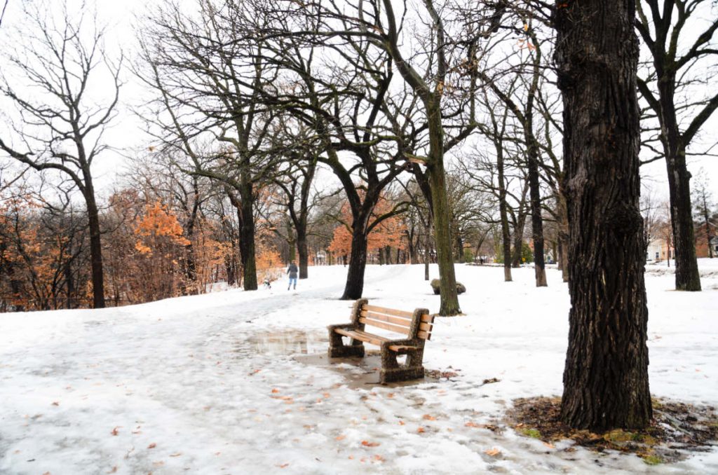 empty park bench amidst a snowy scene in the park with mostly bare trees and some light brown leaves