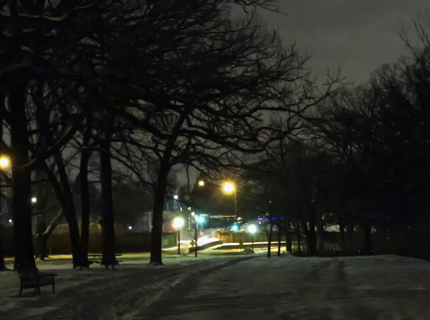 night scene with bare trees in a snowy landscape with some glowing street lights in the background
