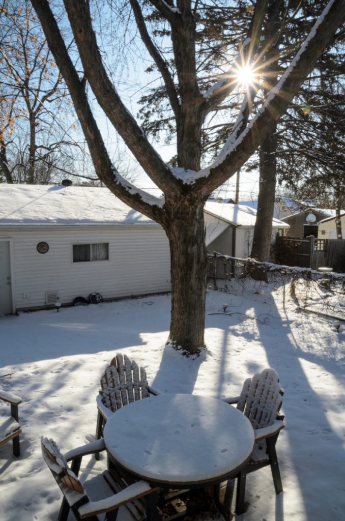 backyard scene in winter with tree and garage backlit by bright sun