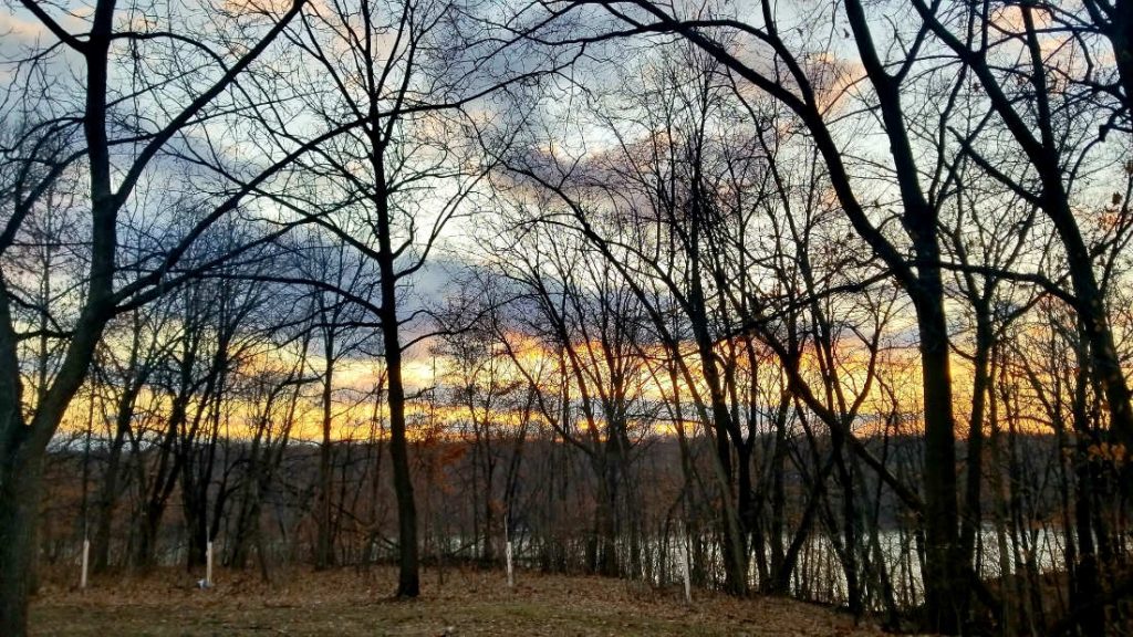 cloudy sunrise through bare trees with a river below the horizon