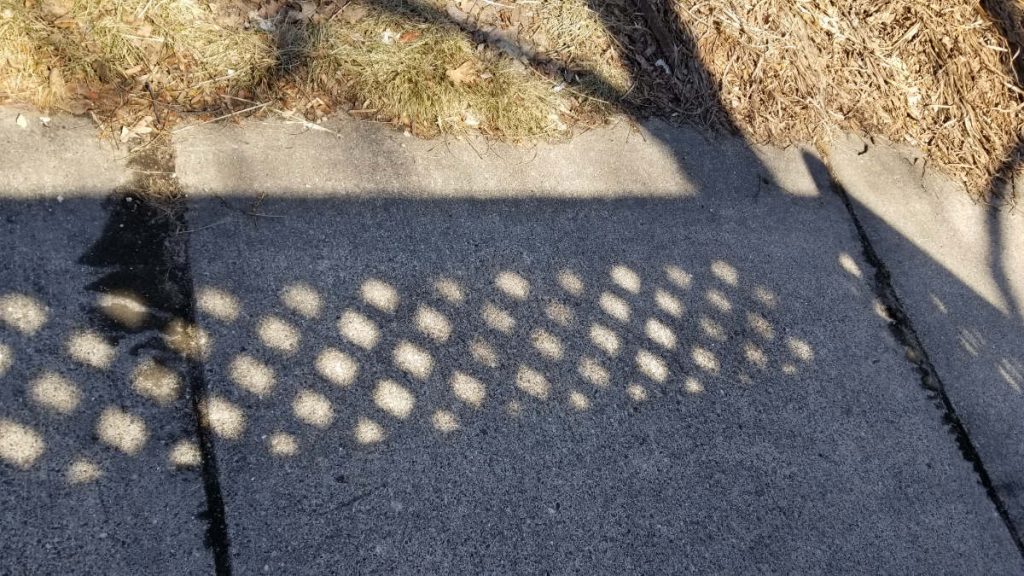 shadow of a fence with lattice work on a sidewalk with some brown grass along side