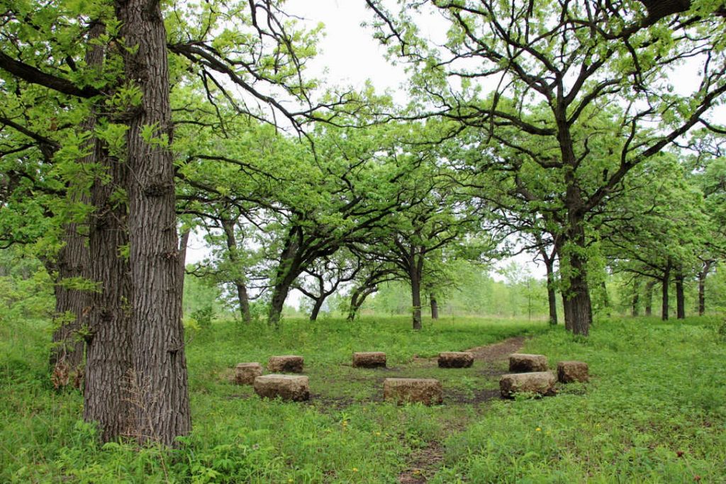 circle made of nine stone sitting blocks in rough green growth in a oak Savannah clearing