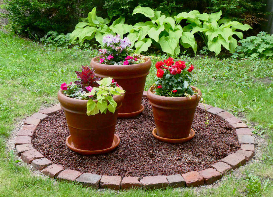 three terra cotta flower pots with pink and red flowers along with pale green vines sitting in a red brick ring with brown mulch surrounded by grass and green hostas in the background
