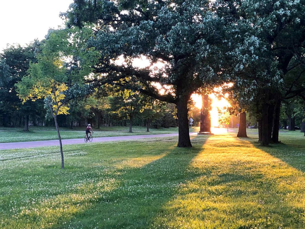 Green grass parkway with trees and bicyclist riding towards a sunset