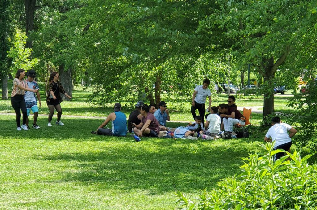 a dozen people relaxing on grass in a park with a few dancing on the side