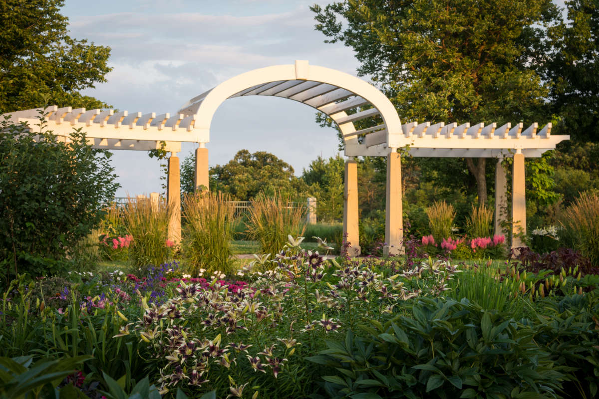 large pergola in a lush garden with flowers and greenery on a sunny day