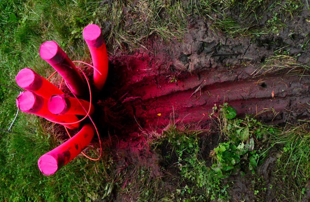Seen overhead, pink tubes curl up out of grass alongside tracks in dirt dusted in pink
