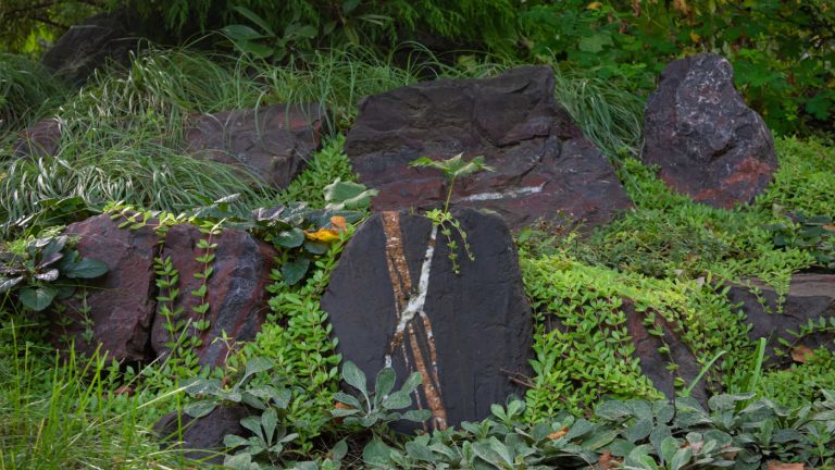 slate gray rock faces with stripes of white, brown, and red colors amidst garden ground cover plants
