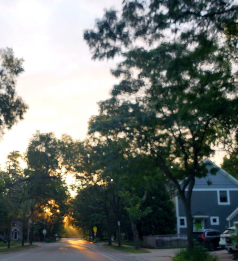 blurry image of sunrise over a city street with tree canopy