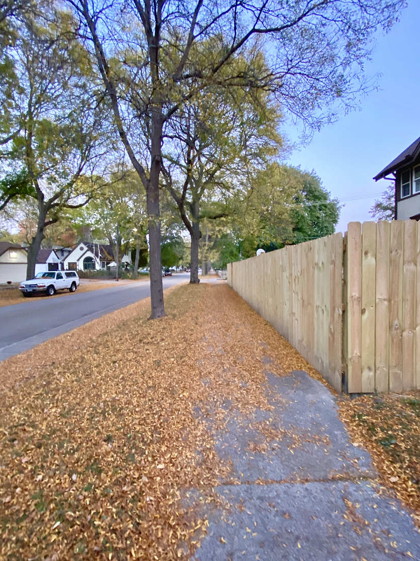 sidewalk and boulevard mostly covered with brown leaves against a wooden fence